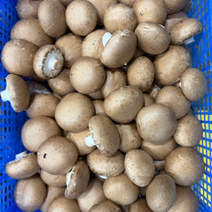 Kastanje champignons