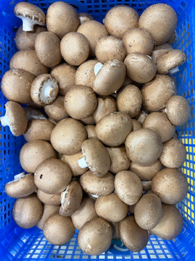Kastanje champignons