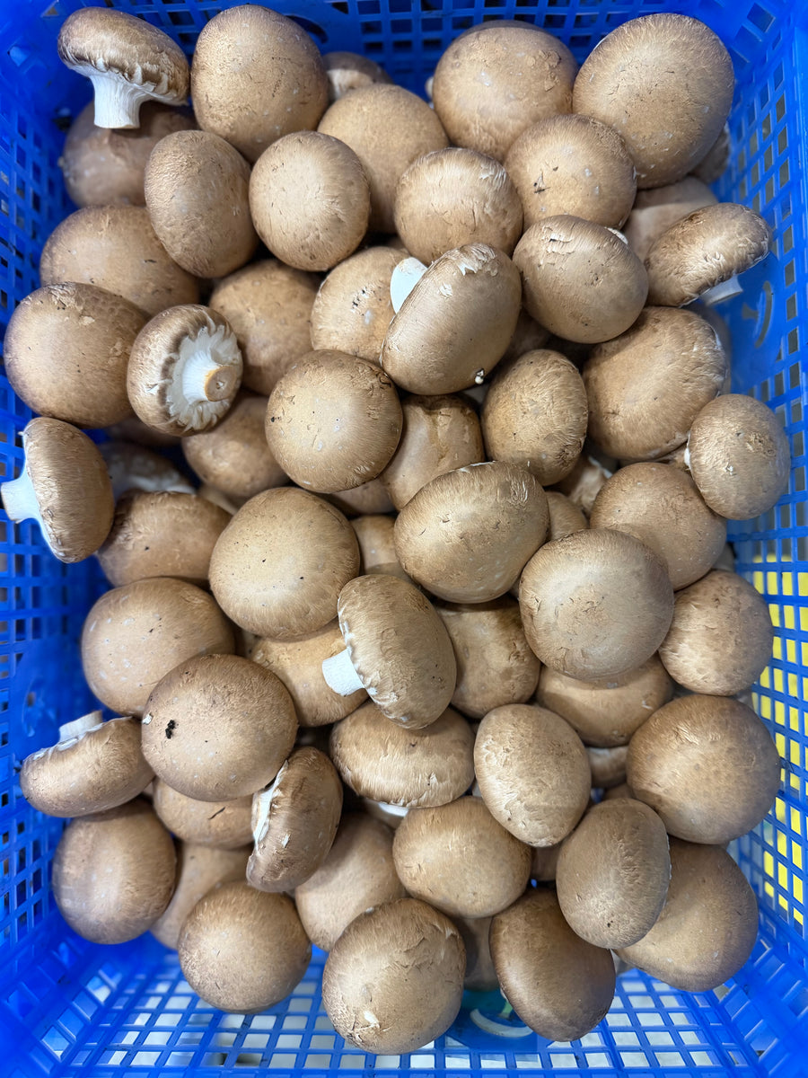 Kastanje champignons