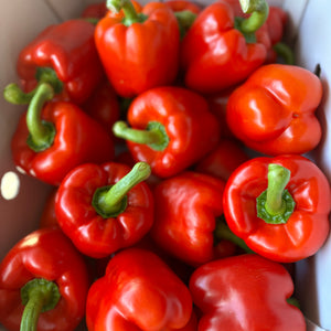 Rode paprika
