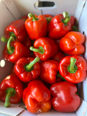 Rode paprika
