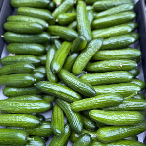Hollandse Snackkomkommers
