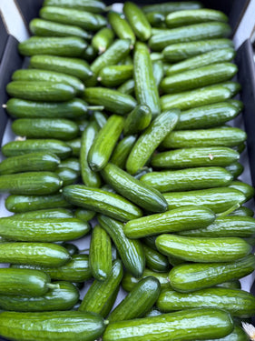 Hollandse Snackkomkommers