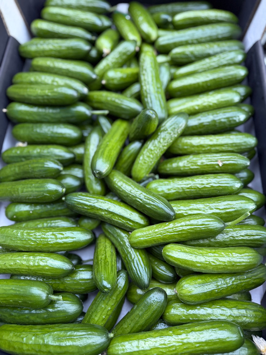 Hollandse Snackkomkommers