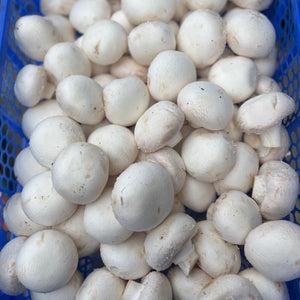 Witte champignons