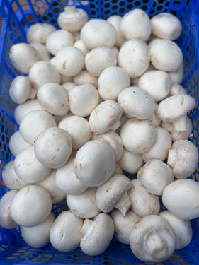 Witte champignons