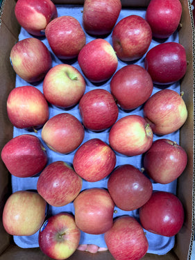 Fuji appels