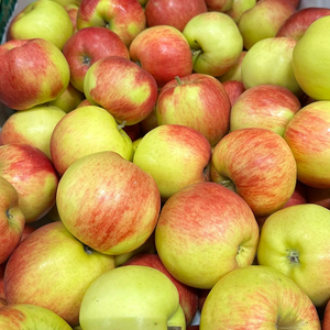 Anti allergie appels - Santana