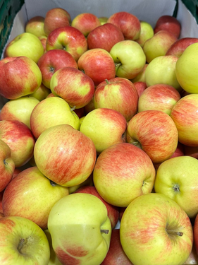 Anti allergie appels - Santana