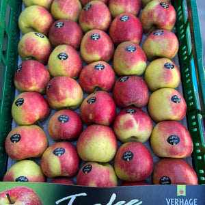 Elstar appels