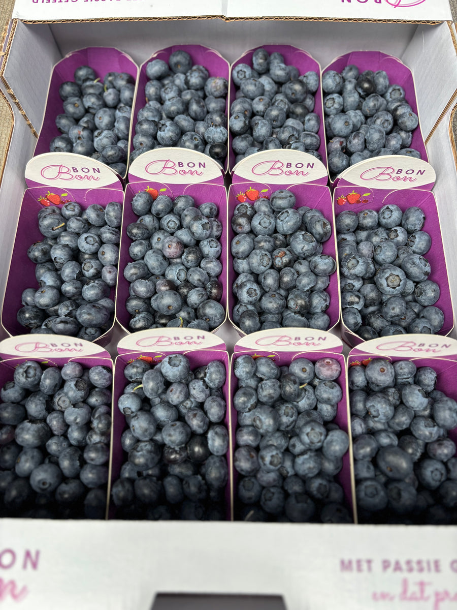 Blauwe bessen