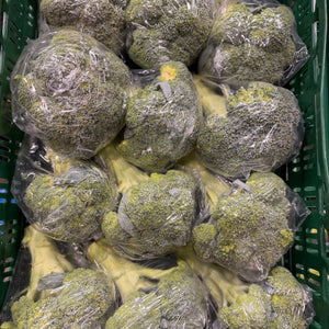 Broccoli