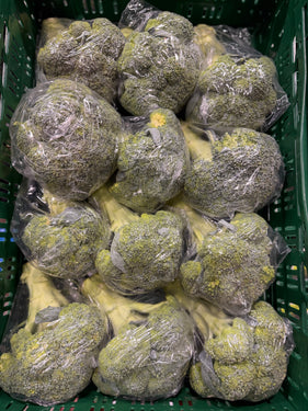 Broccoli