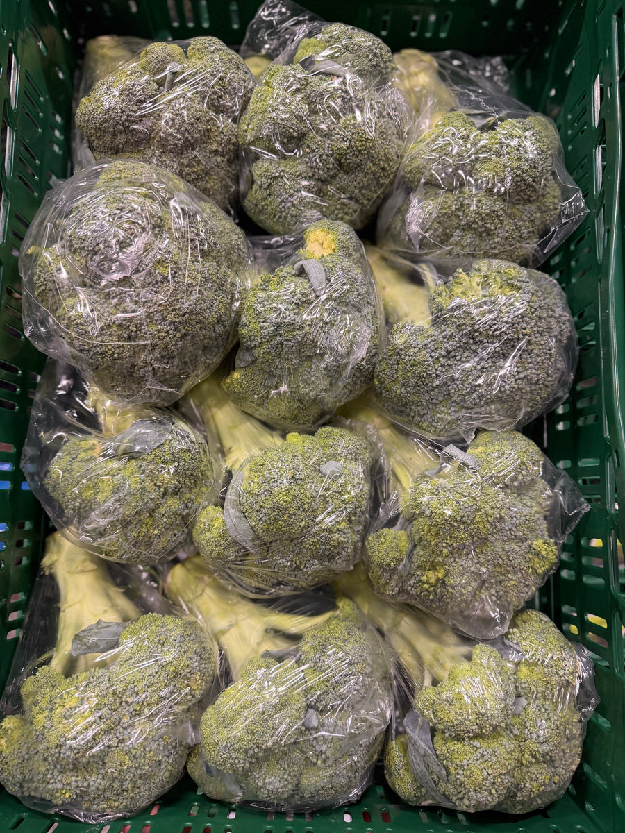 Broccoli