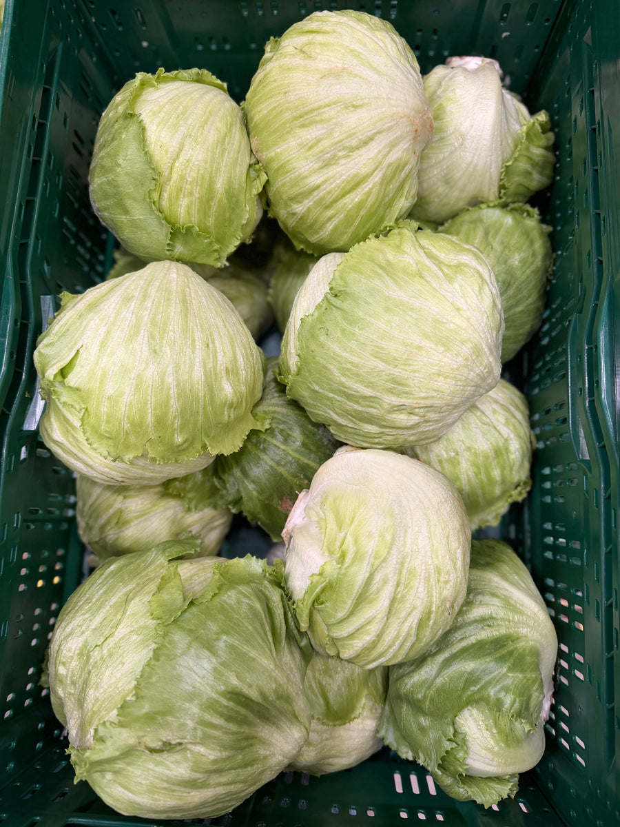 Ijsbergsla
