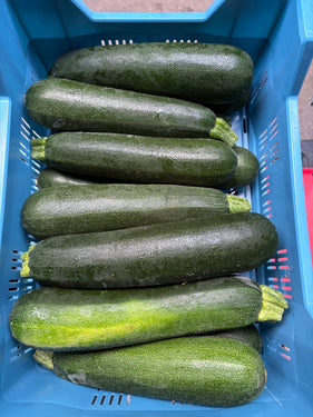 Courgette