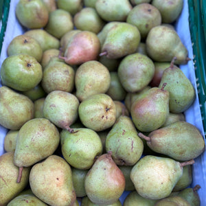 Doyenné du Comise peren