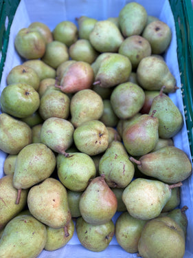 Doyenné du Comise peren