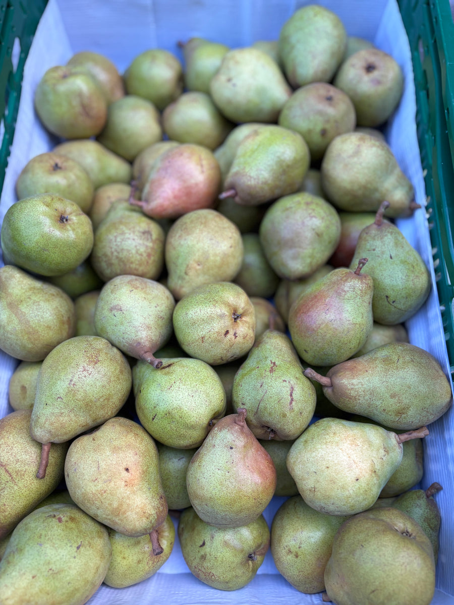 Doyenné du Comise peren