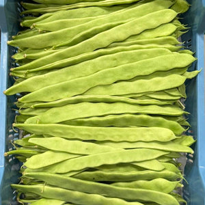 Hollandse snijbonen
