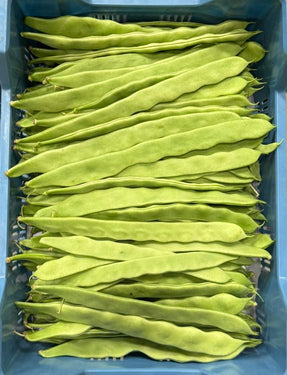 Hollandse snijbonen
