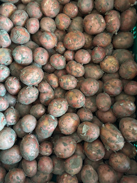 Bildtstar aardappelen
