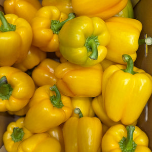 Gele paprika