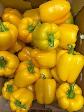 Gele paprika