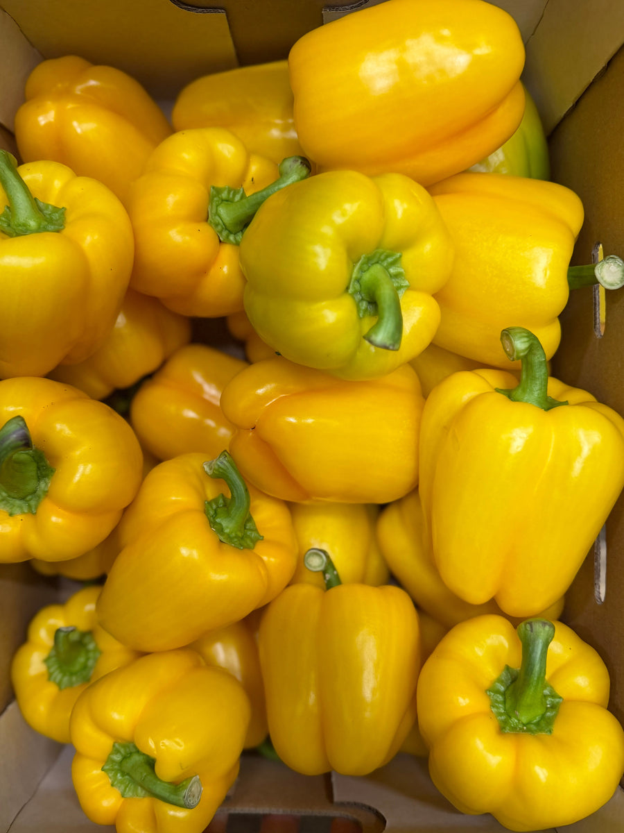 Gele paprika