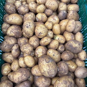 Frieslander aardappelen