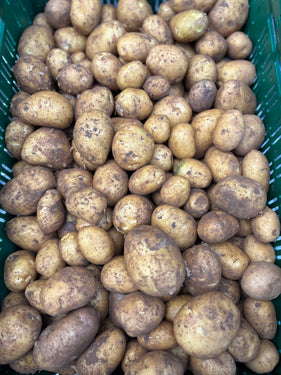 Frieslander aardappelen