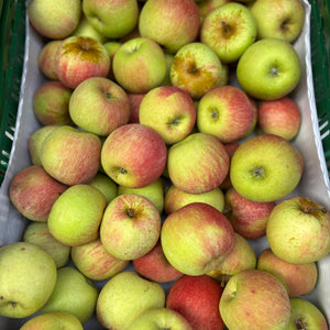 Dijkmanszoet appels