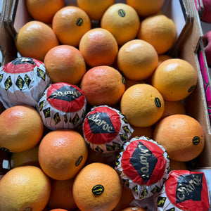 Grapefruit