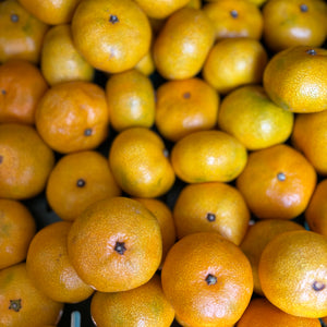 Satsuma mandarijnen