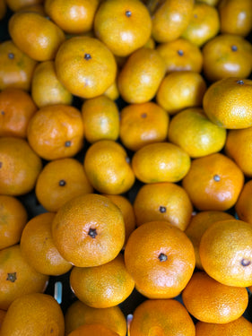 Satsuma mandarijnen
