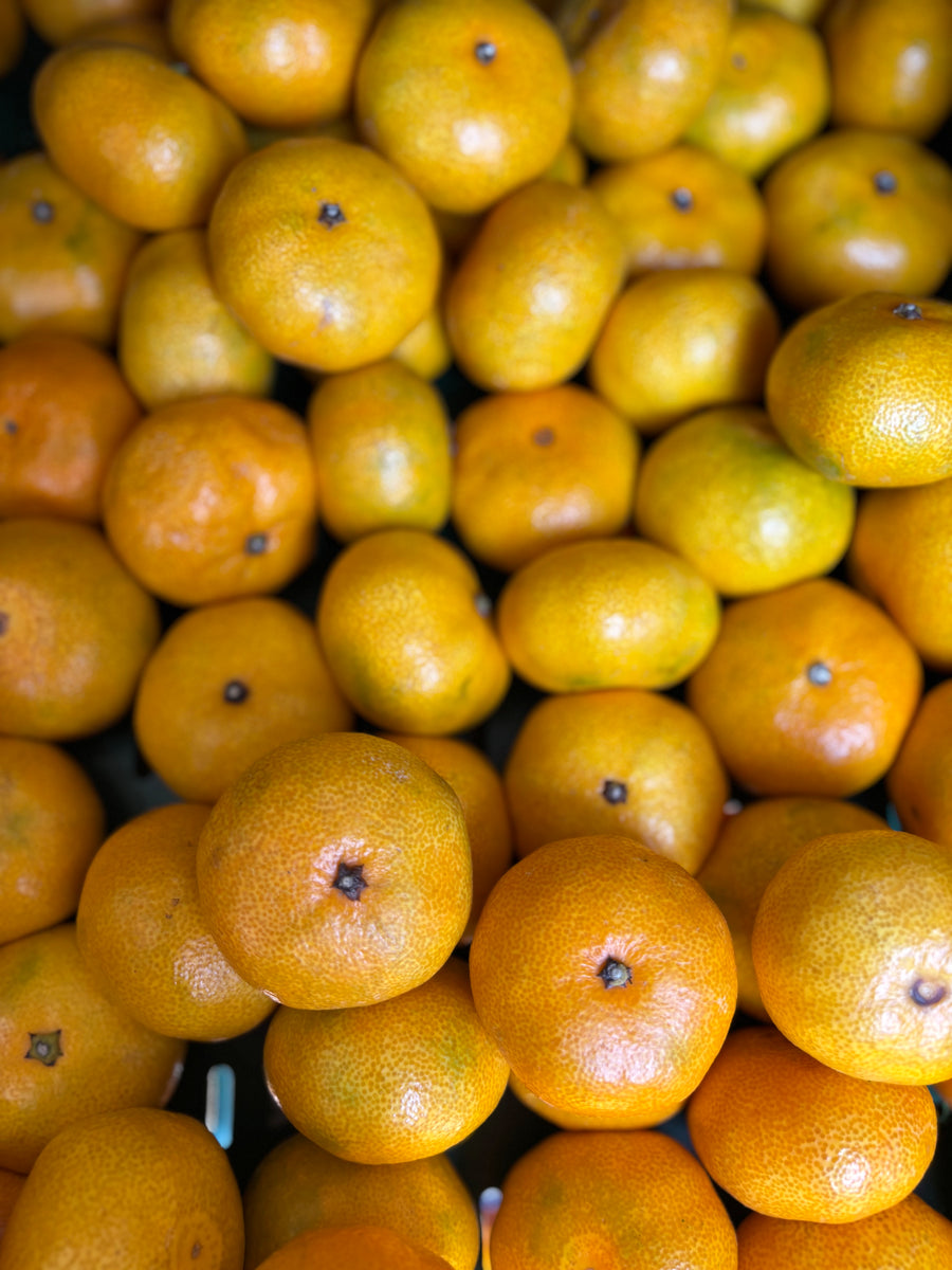 Satsuma mandarijnen
