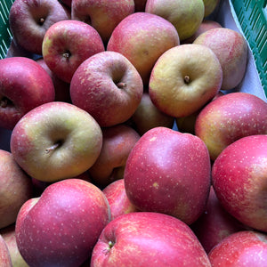 Goudreinet appels