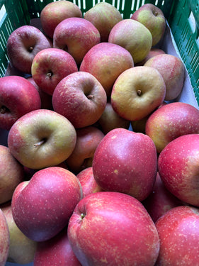 Goudreinet appels