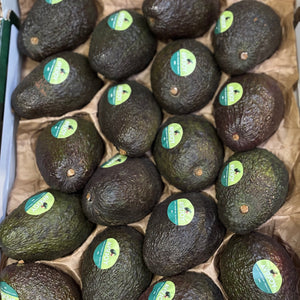 Avocado