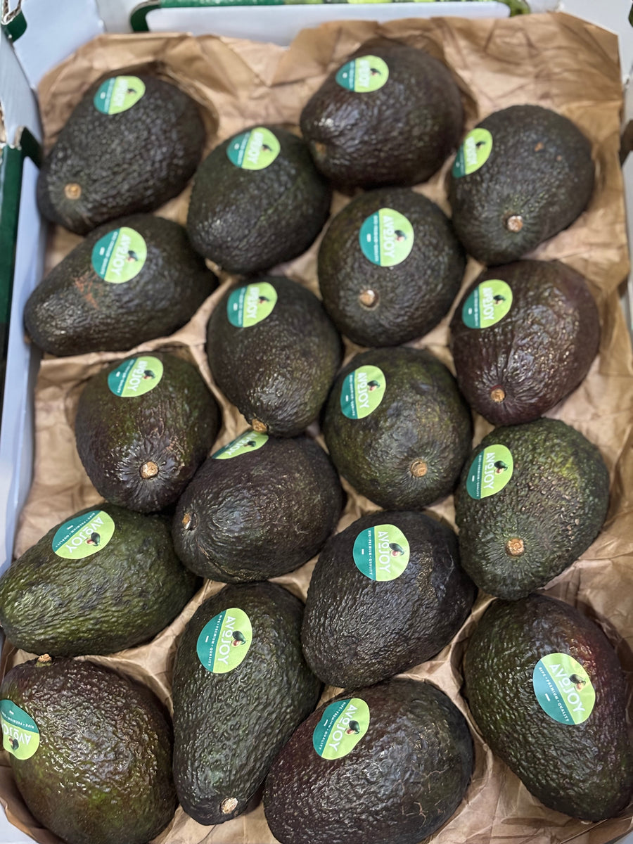 Avocado
