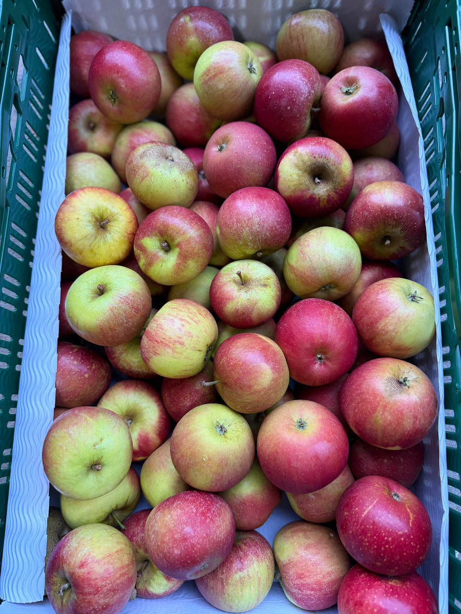 Cox appels
