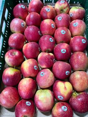 Bloss appel
